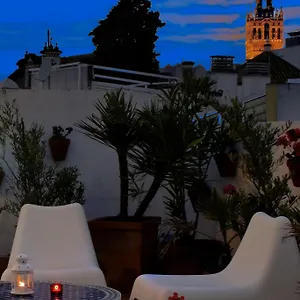 Un Patio En Santa Cruz Séville